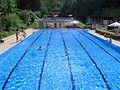 Schwimmbecken Schwimmbecken