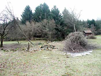 Entbuschung im Gewann „Dachsloch“