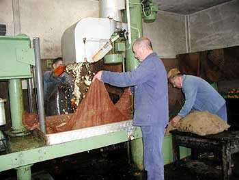 Die Weisenbacher Kelter