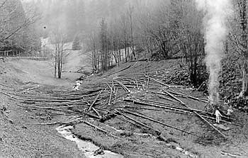 Landschaftspflegemaßnahmen als Ausgleichsmaßnahme im Latschigbachtal