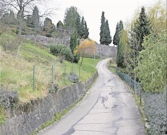 Sanierung Jahnstraße und Schulhofmauer