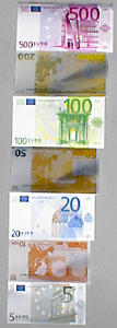 Der Euro als neue Währungseinheit