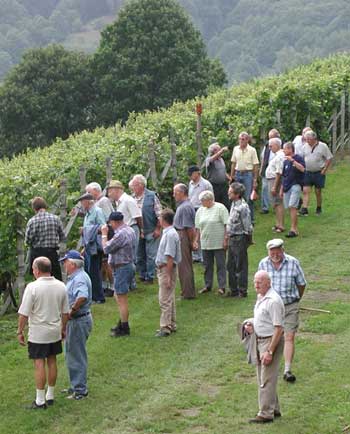 Die Hobbywinzer auf ihrem „Hausberg“