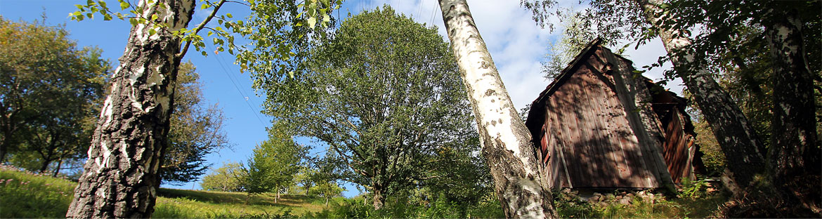 Impressionen aus Weisenbach