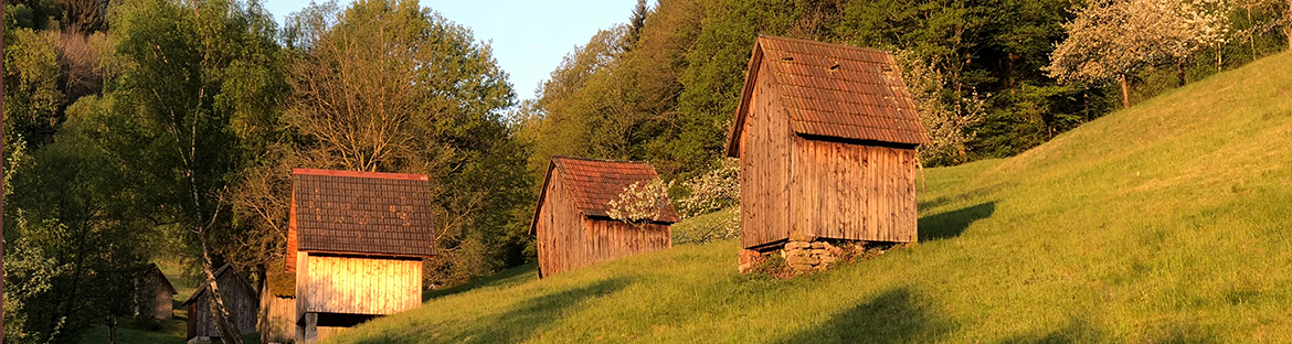 Impressionen aus Weisenbach