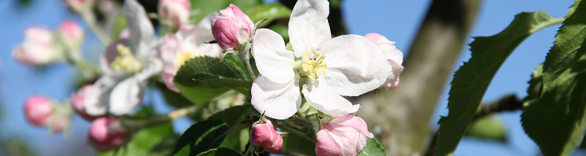 Impressionen aus Weisenbach