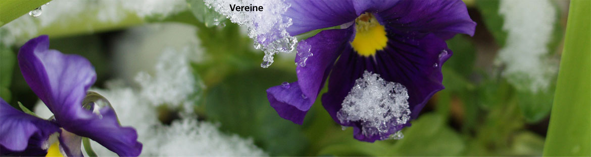 Impressionen aus Weisenbach