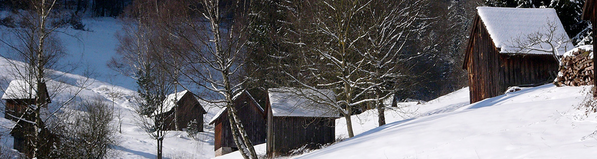 Impressionen aus Weisenbach