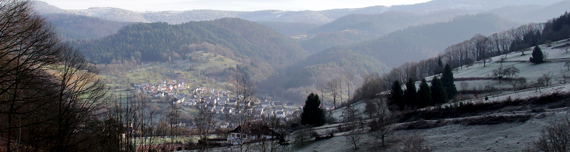 Impressionen aus Weisenbach