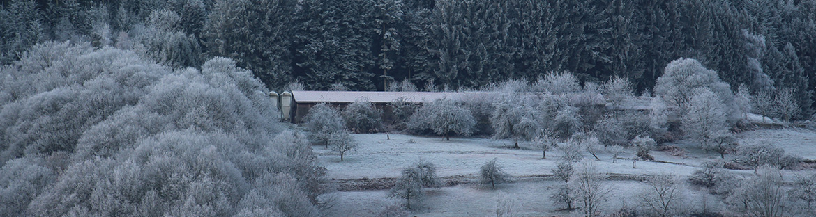 Impressionen aus Weisenbach